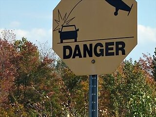 531253448_ff12d1b534.jpg 531253448_ff12d1b534.jpg