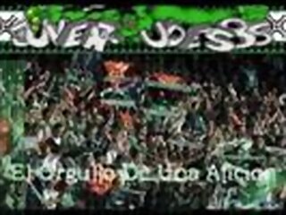 el orgullo de una afición.jpg el orgullo de una afición.jpg